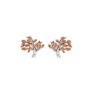 Passionate Rose Gold Plated Earrings